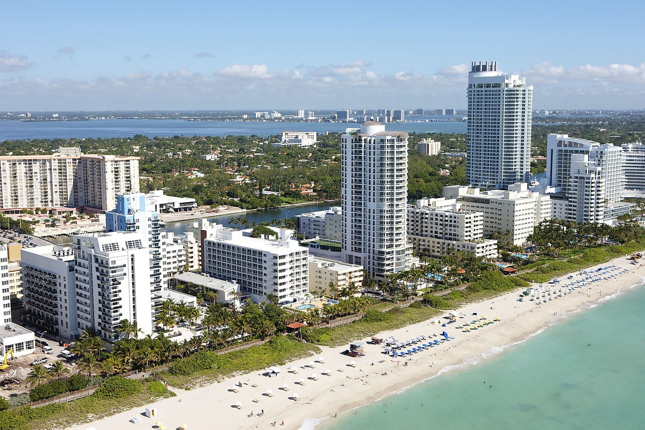 The 11 Best Jiu Jitsu Gyms in Miami